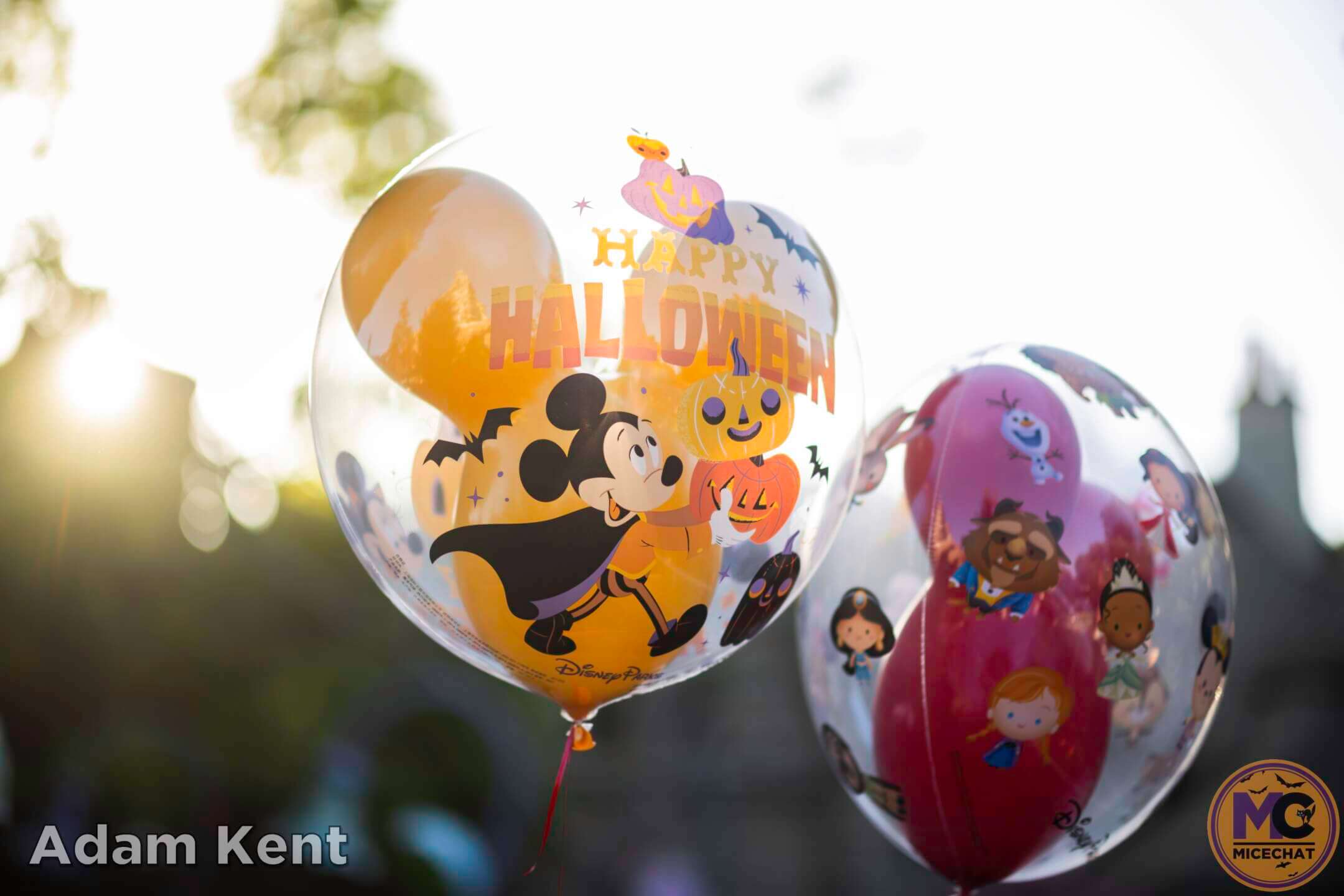 , Disneyland Update: Construction Tricks and Halloween Treats