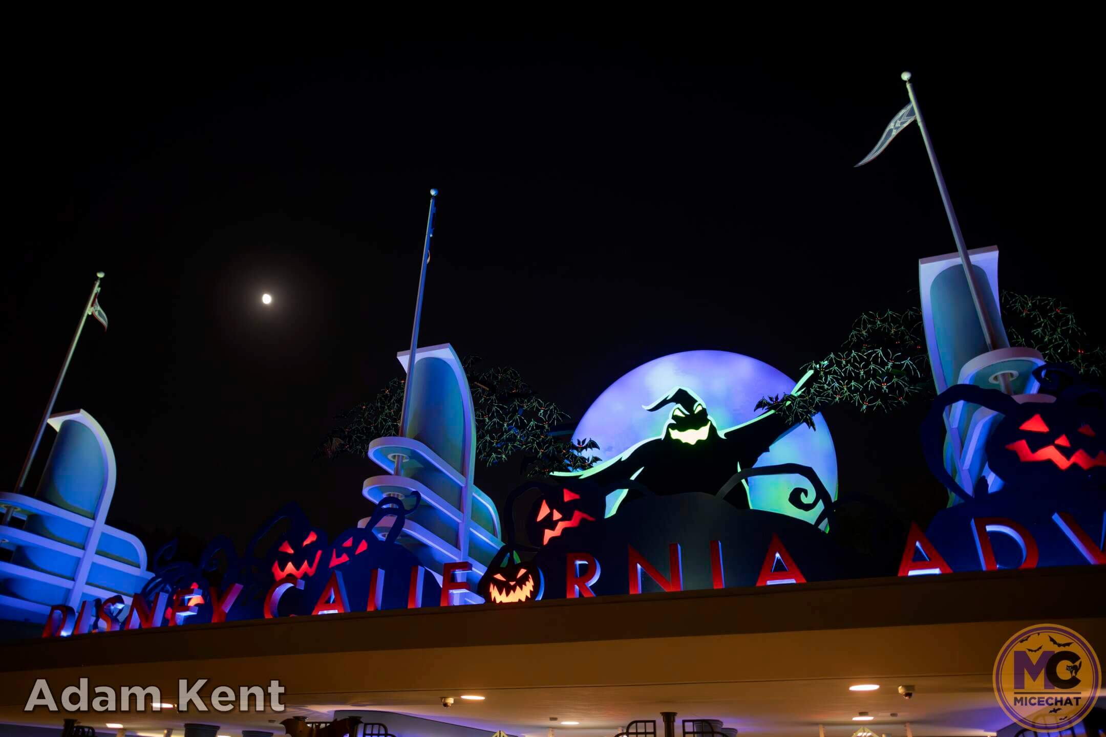 , Disneyland Update: Construction Tricks and Halloween Treats