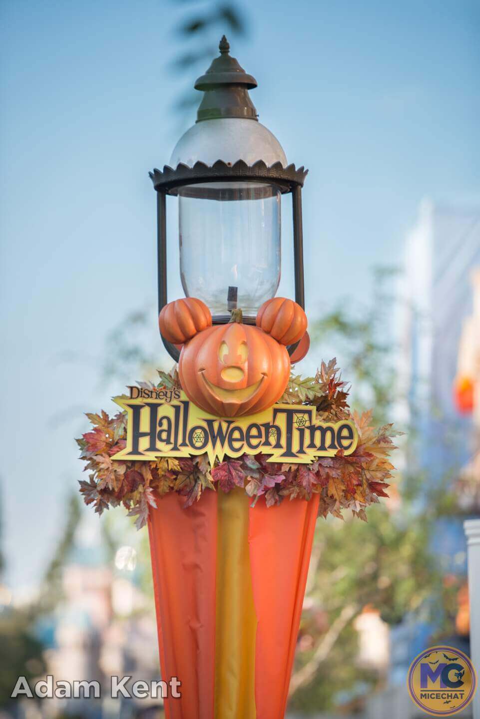 , Disneyland Update: Construction Tricks and Halloween Treats