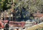 Disneyland-News-Haunted Mansion Garden 5- MiceChat