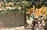 Disneyland-News-Haunted Mansion Garden Wall- MiceChat