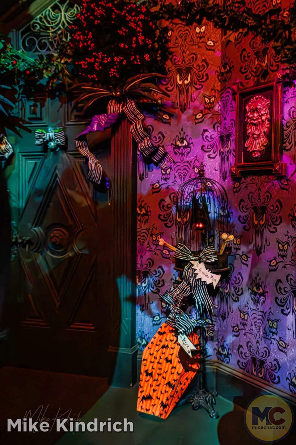 , DISNEYLAND UPDATE: Dead-er Together, D23 Screams & Haunted Happenings