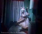 HHN33 – triplets