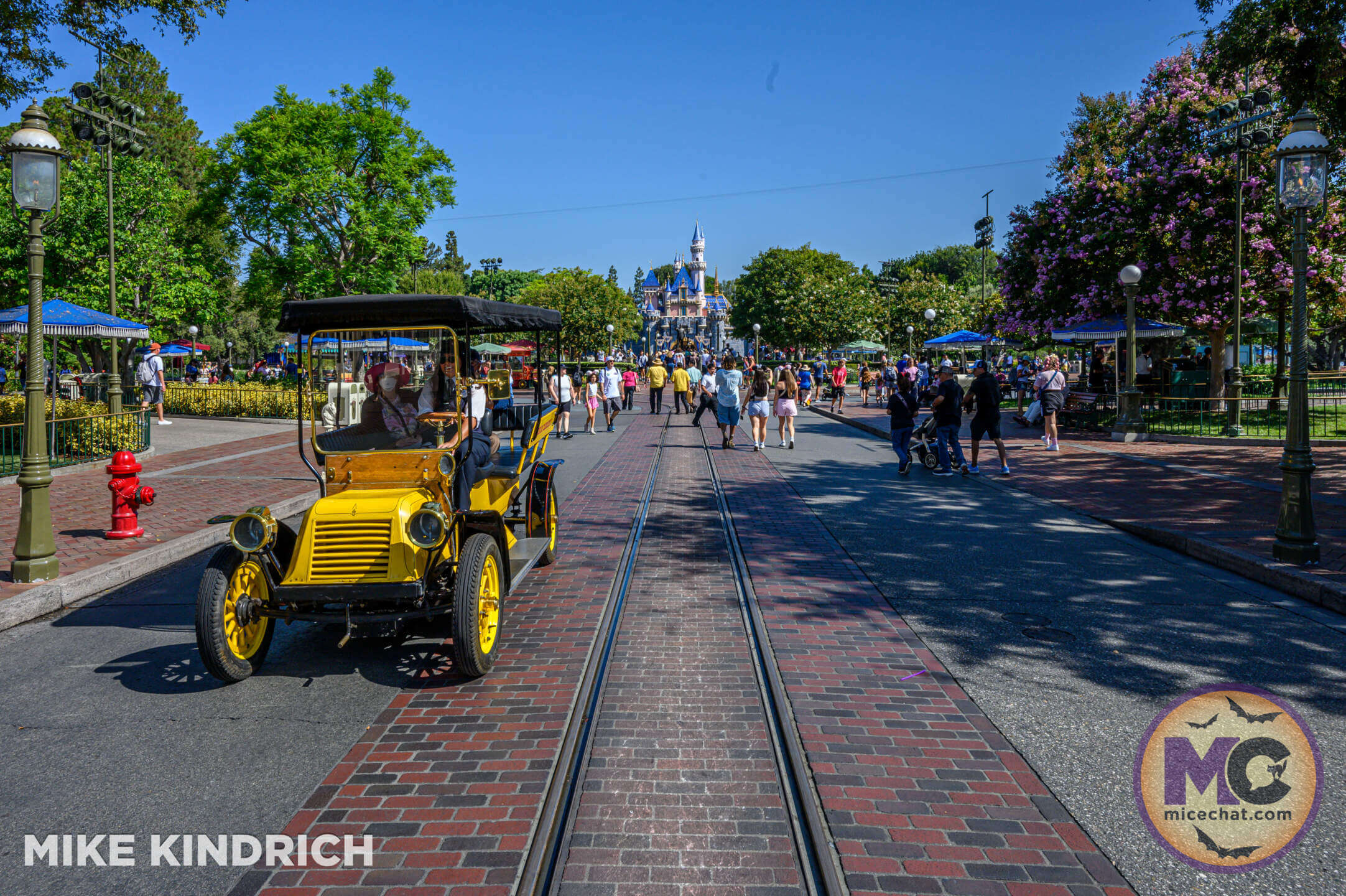 , Disneyland Update: Attractions Where? Dare to Scare! BBQ Bear 🐻