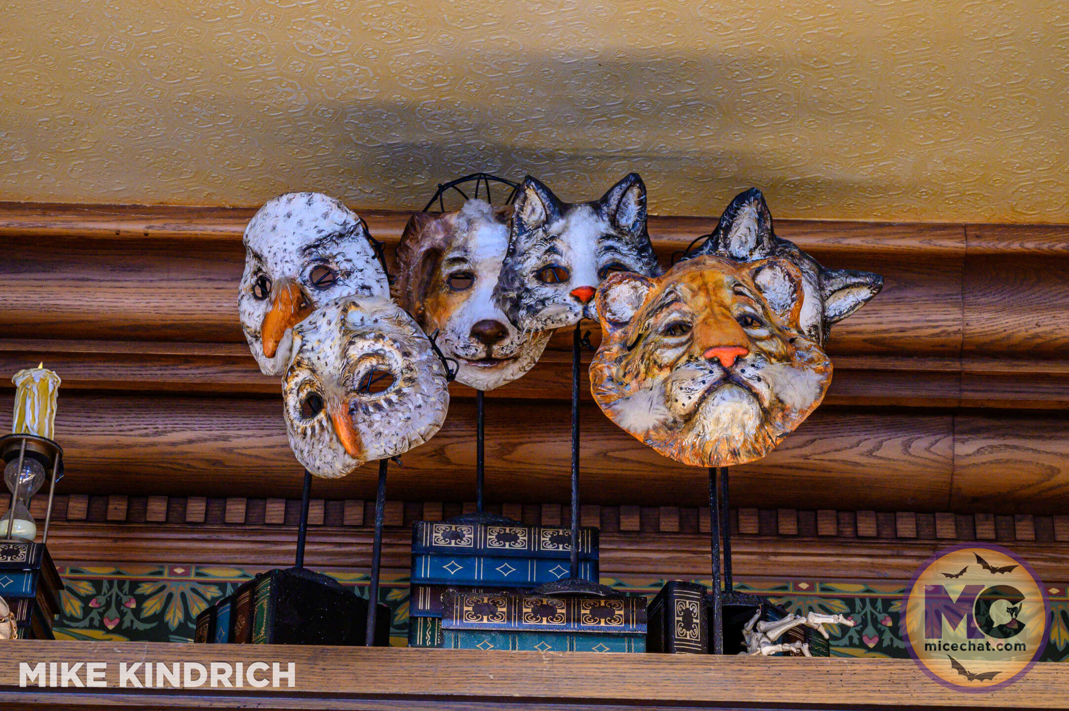 , Disneyland Update: Attractions Where? Dare to Scare! BBQ Bear 🐻