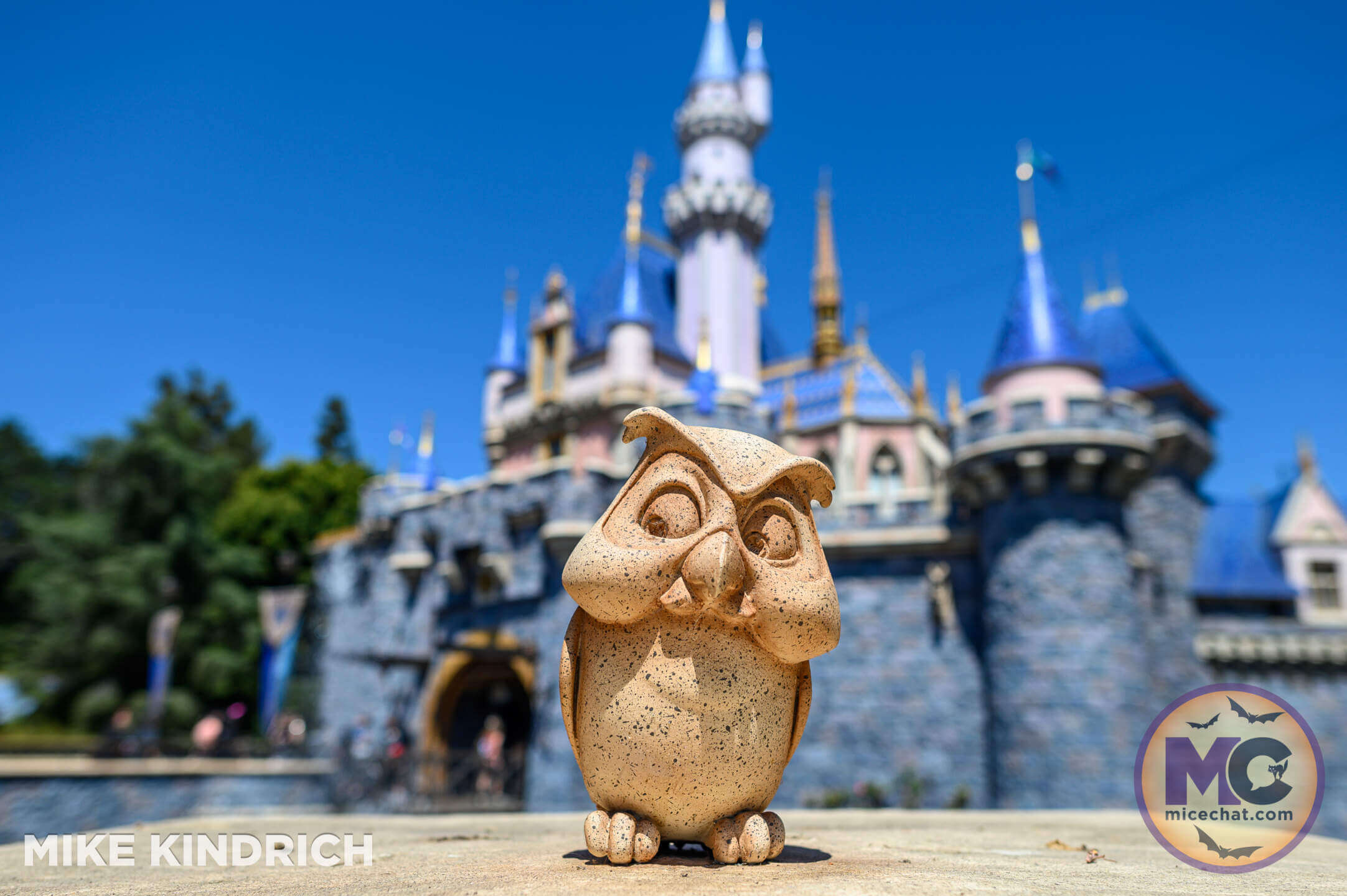 , Disneyland Update: Attractions Where? Dare to Scare! BBQ Bear 🐻