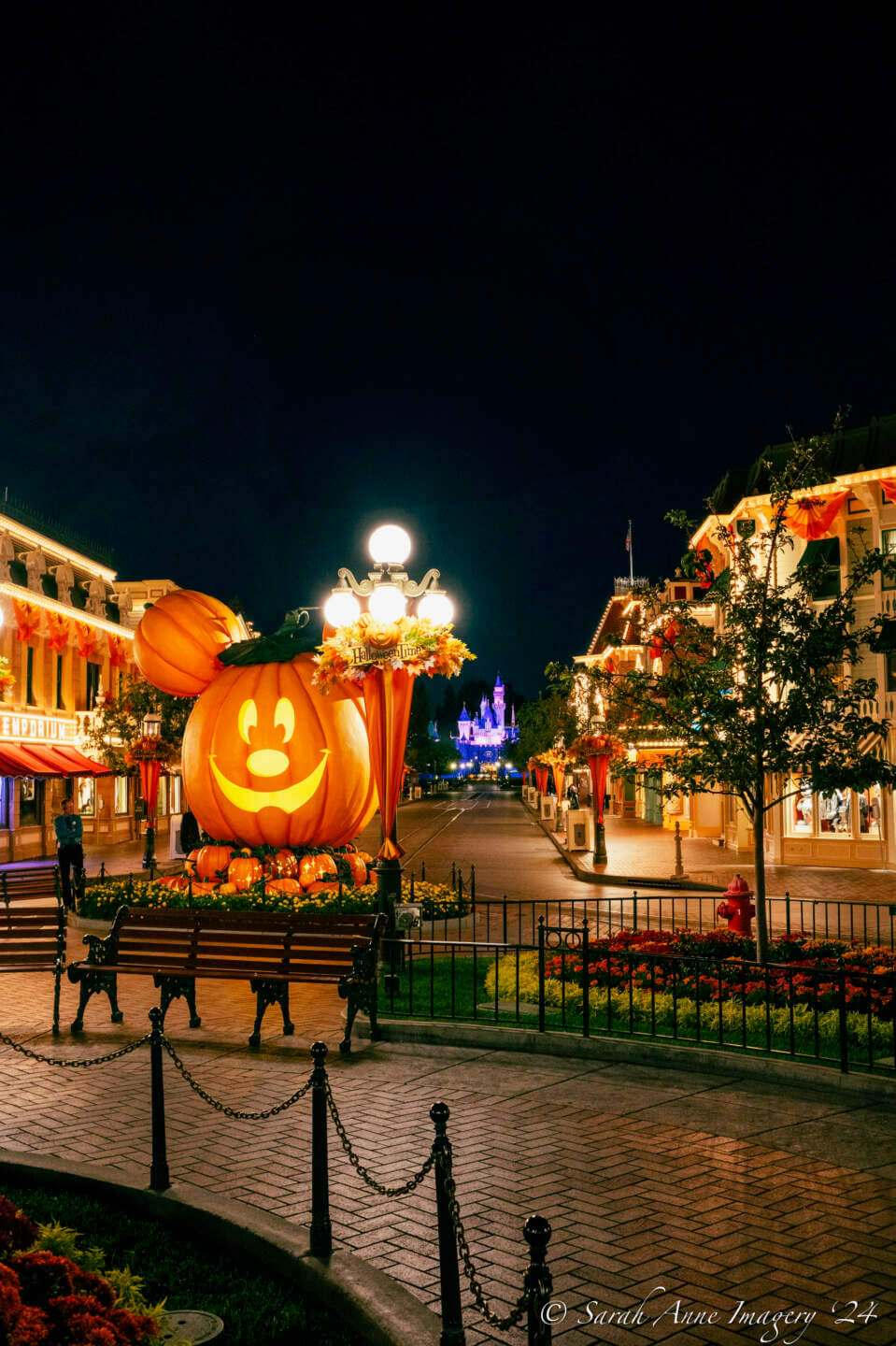 , Disneyland Update: Construction Tricks and Halloween Treats