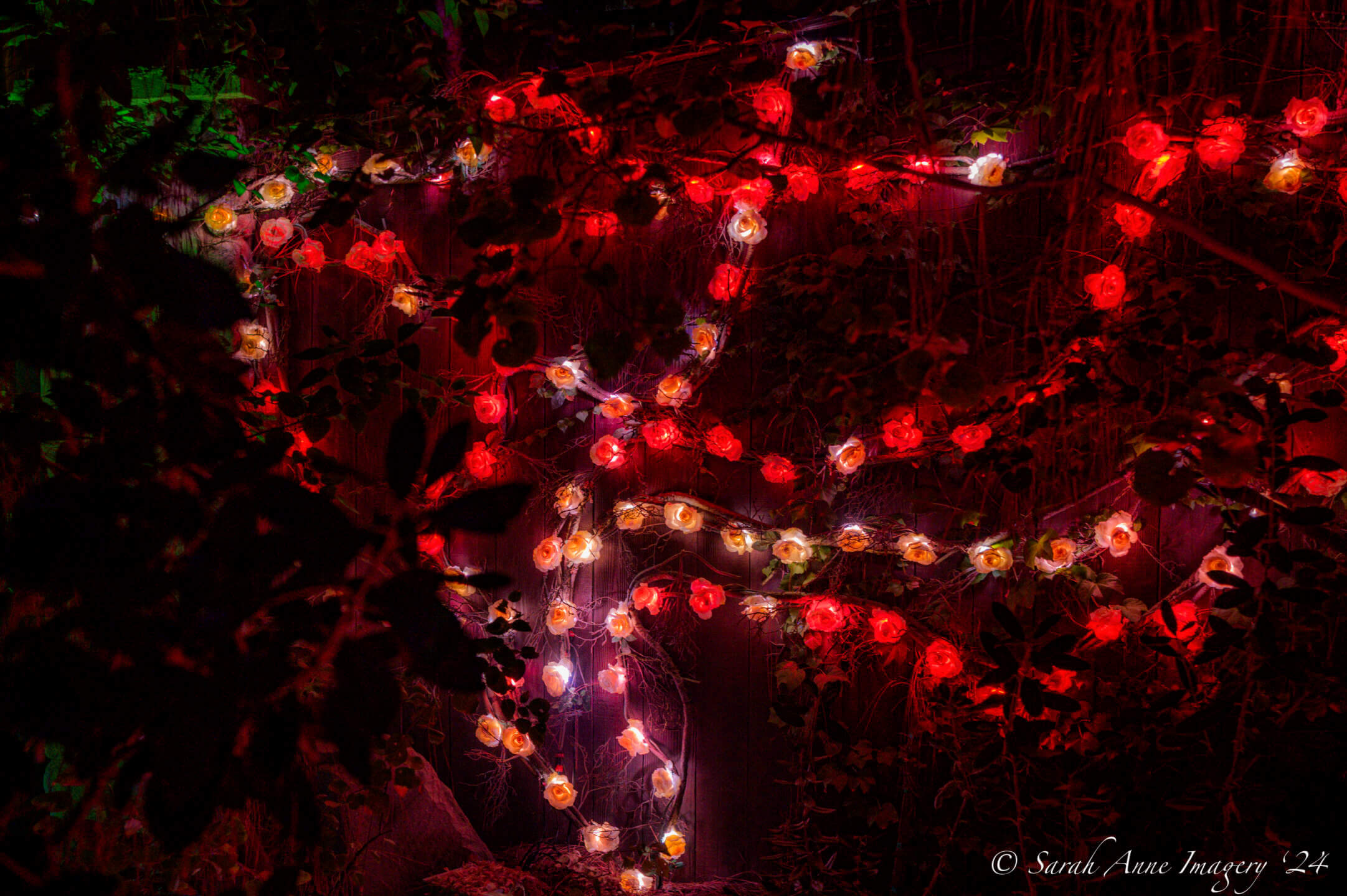 , Disneyland Update: Construction Tricks and Halloween Treats
