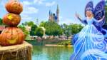 WDW-Update
