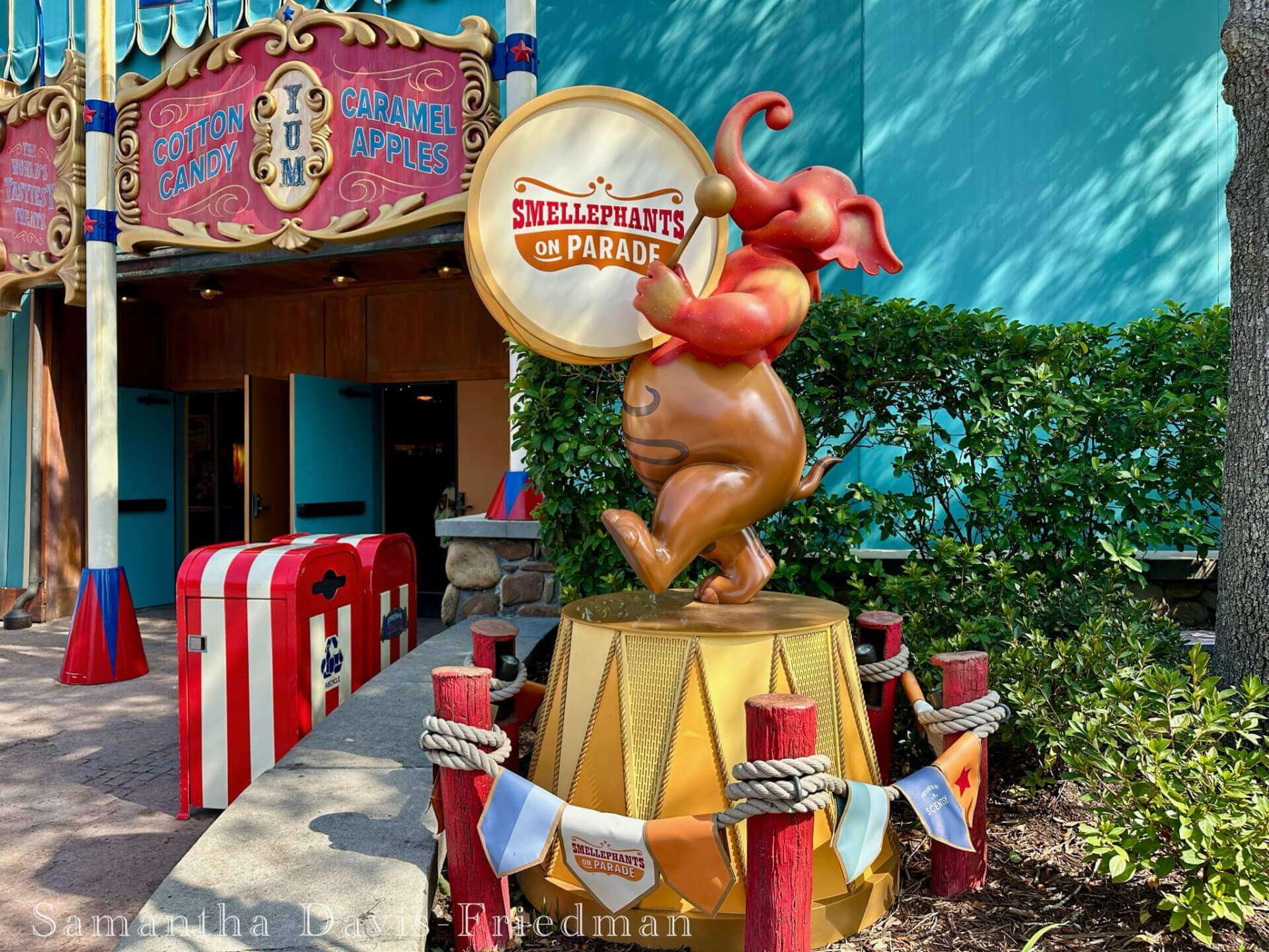 WDW Update, WDW Update: Country Bear Breakout, D23 Dynamics & Halloween/Holiday Hoopla