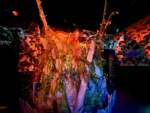 thumbnail_IMG_6658
