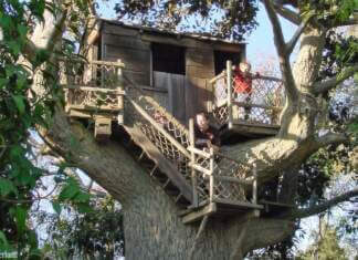 Yesterland: Tom and Huck’s Tree House on Tom Sawyer Island Yesterland: Tom and Huck’s Tree House on Tom Sawyer Island