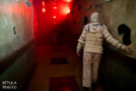 022_Queen Mary’s Dark Harbor 2024_Infirmary Maze