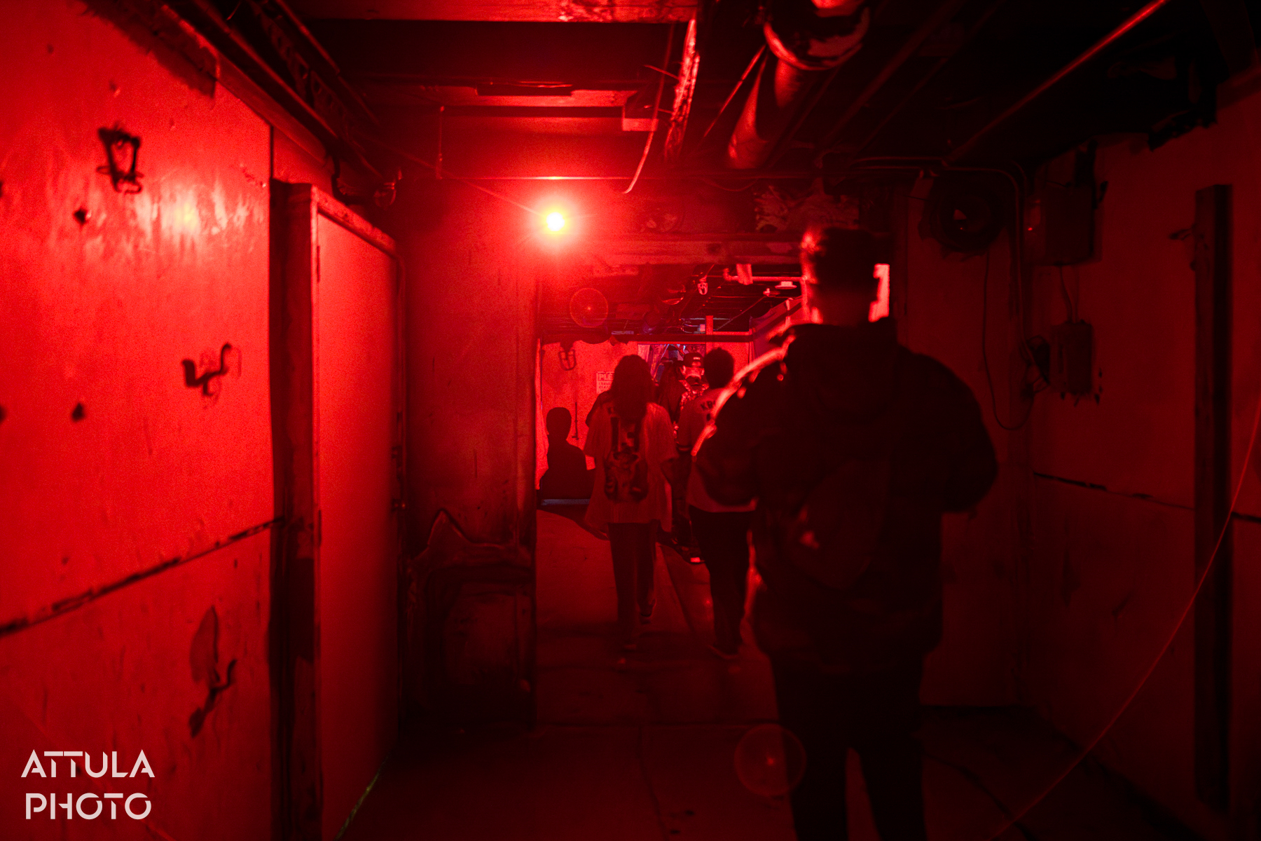 , Queen Mary’s Dark Harbor Resurrected – New Mazes, Old Haunts & Hidden Secrets