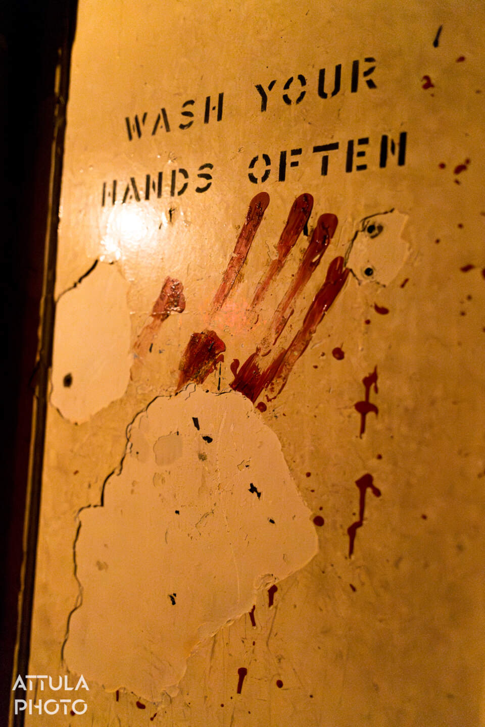 , Queen Mary’s Dark Harbor Resurrected – New Mazes, Old Haunts & Hidden Secrets