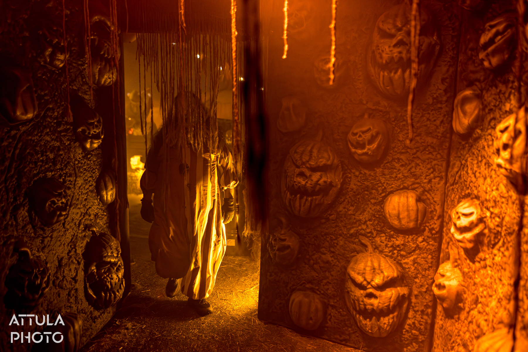 , Queen Mary’s Dark Harbor Resurrected – New Mazes, Old Haunts & Hidden Secrets