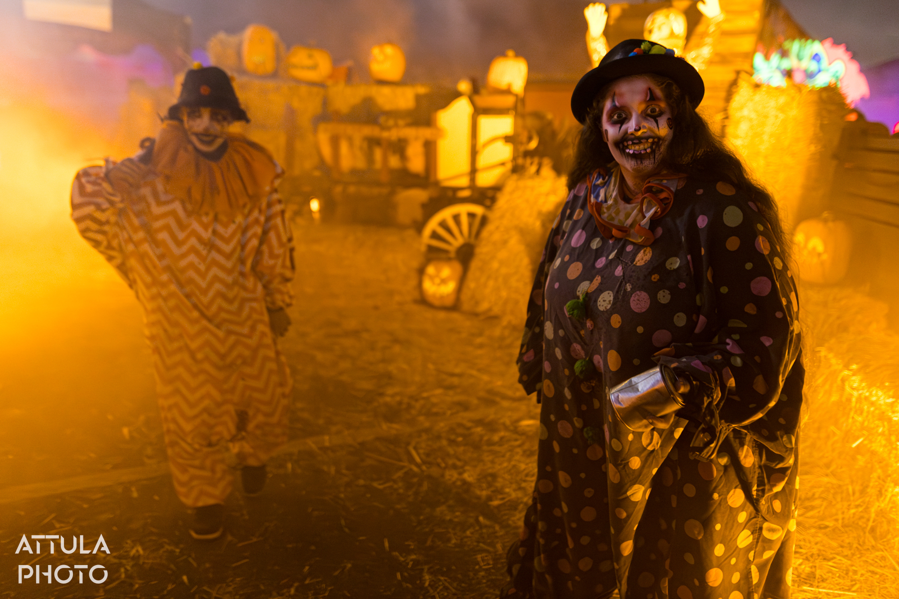 , Queen Mary’s Dark Harbor Resurrected – New Mazes, Old Haunts & Hidden Secrets
