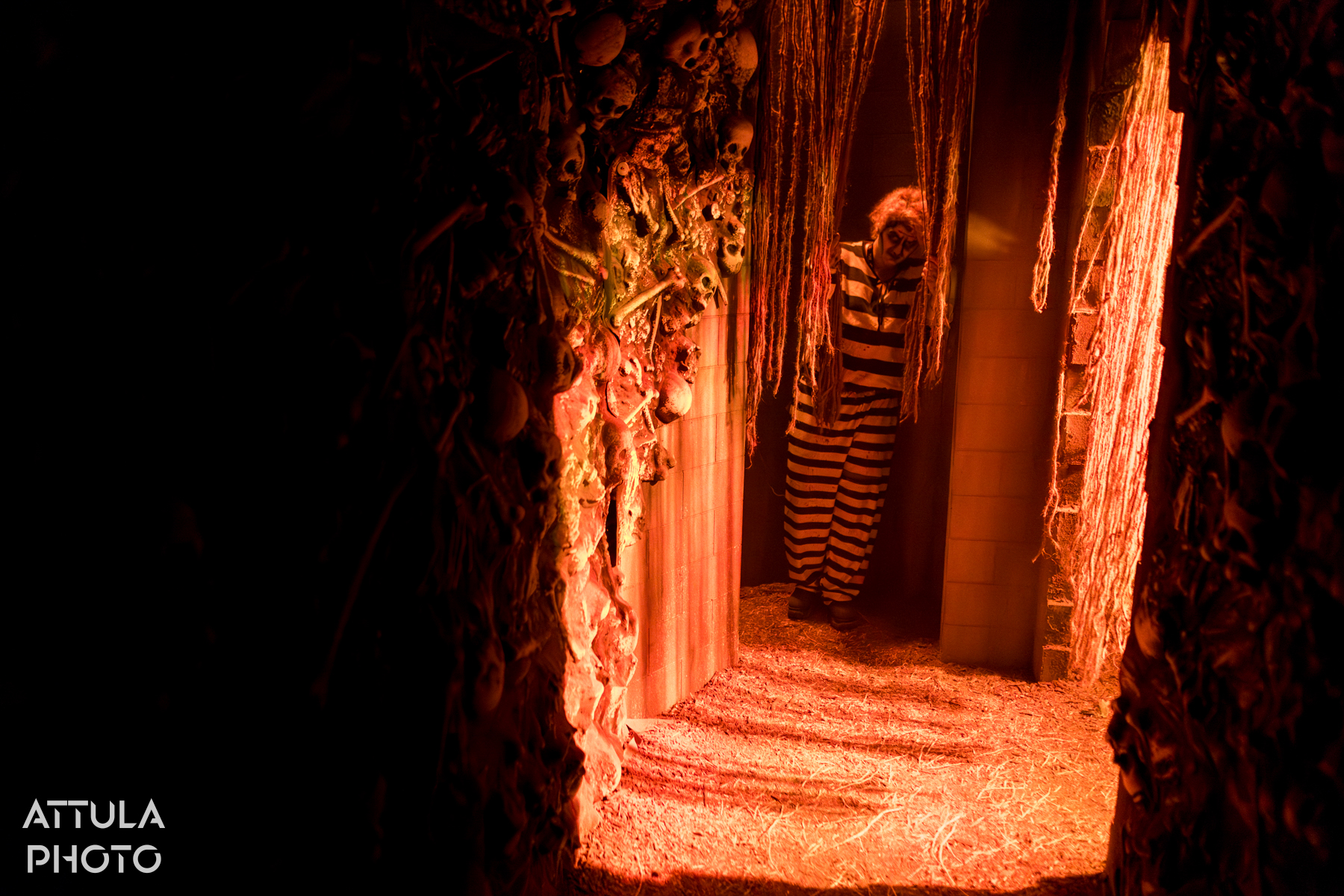 , Queen Mary’s Dark Harbor Resurrected – New Mazes, Old Haunts & Hidden Secrets