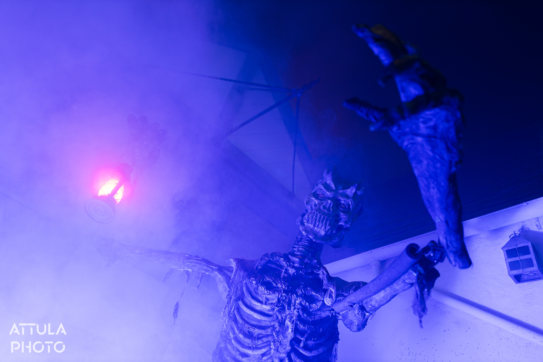 , Queen Mary’s Dark Harbor Resurrected – New Mazes, Old Haunts & Hidden Secrets