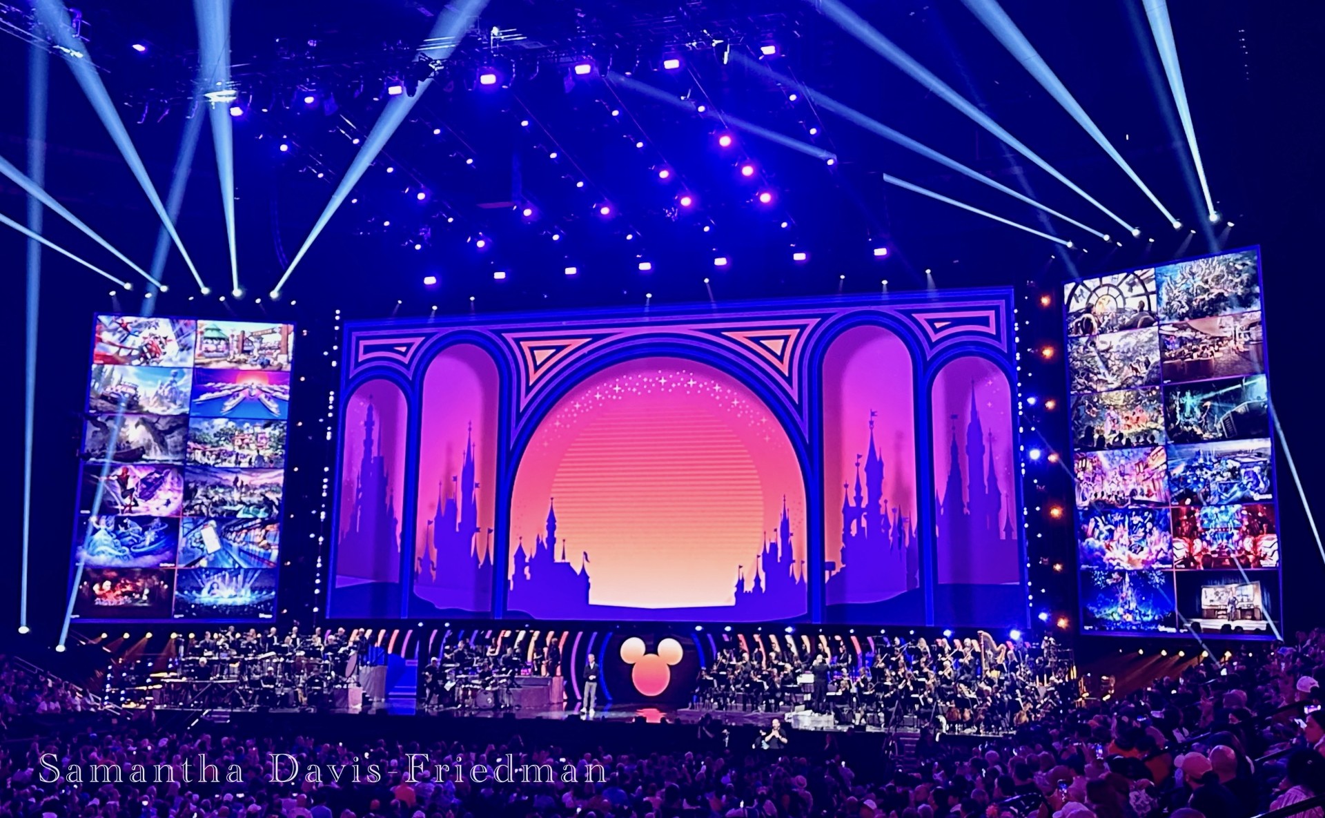 D23 - Disney Experiences