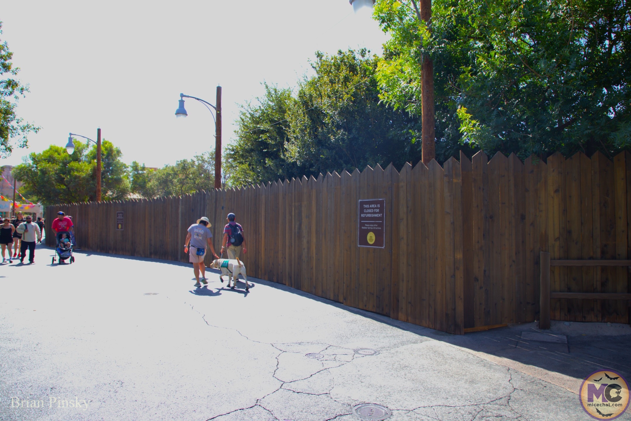 , DISNEYLAND UPDATE: Star Wars Redo, Tiana&rsquo;s Debut & Construction in View!