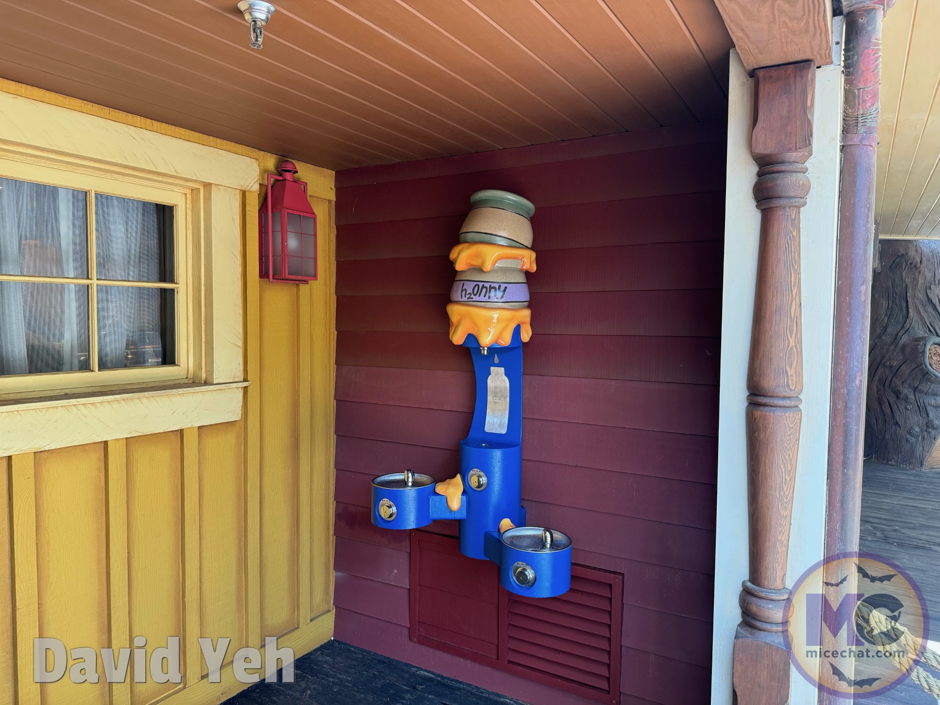 , DISNEYLAND UPDATE: Night Lights Delight, Price Spike & Bayou Hype