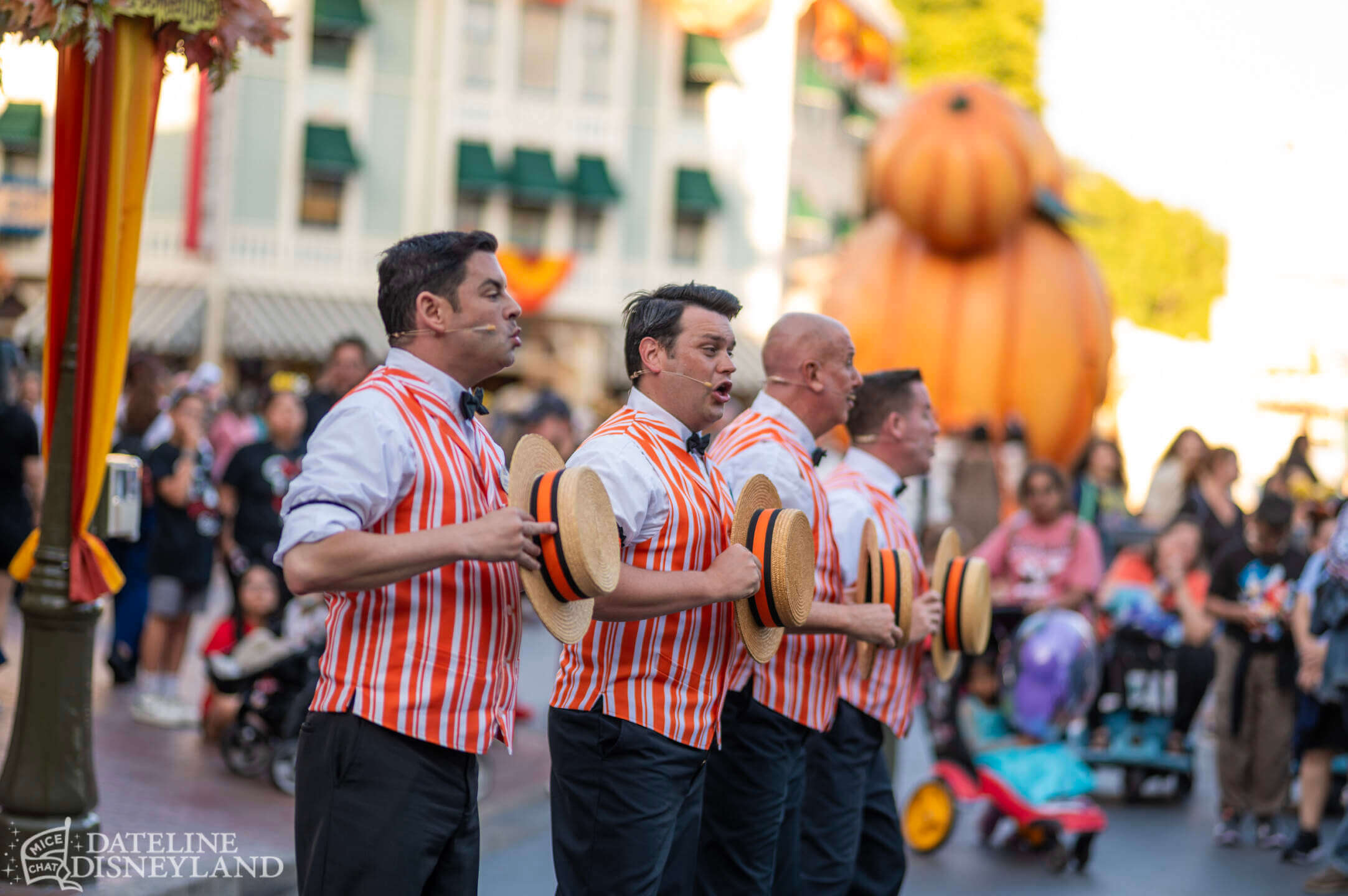 Disneyland, DISNEYLAND UPDATE: Critter Country Comeback, Halloween Magic & Labor Day Madness