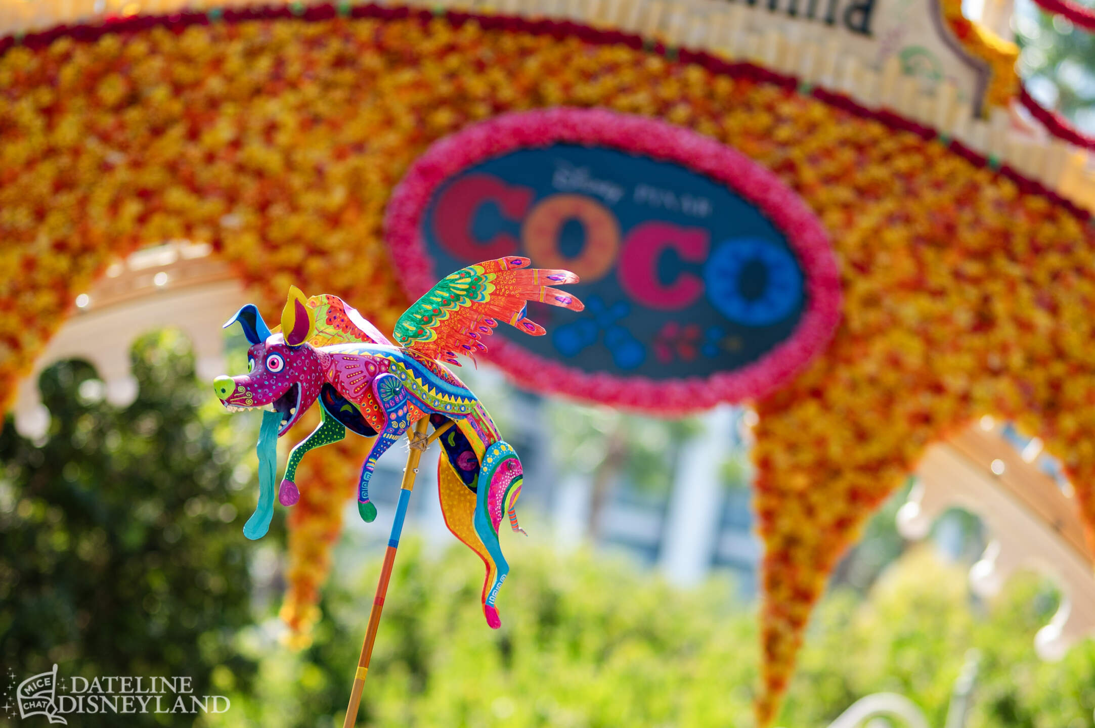 Disneyland, DISNEYLAND UPDATE: Critter Country Comeback, Halloween Magic & Labor Day Madness