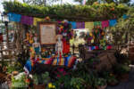 Disneyland Frontierland Zocalo Park Dia de los Muertos display calacas altar ofrenda DSC_7494-X5