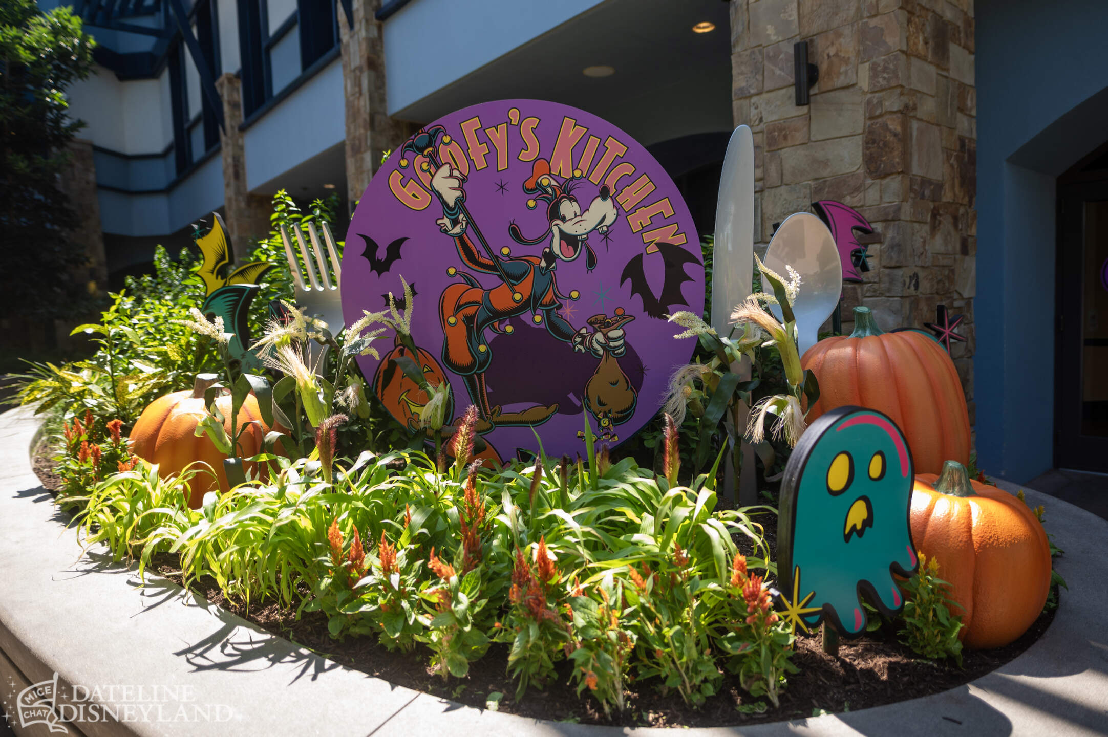 Disneyland, DISNEYLAND UPDATE: Critter Country Comeback, Halloween Magic & Labor Day Madness