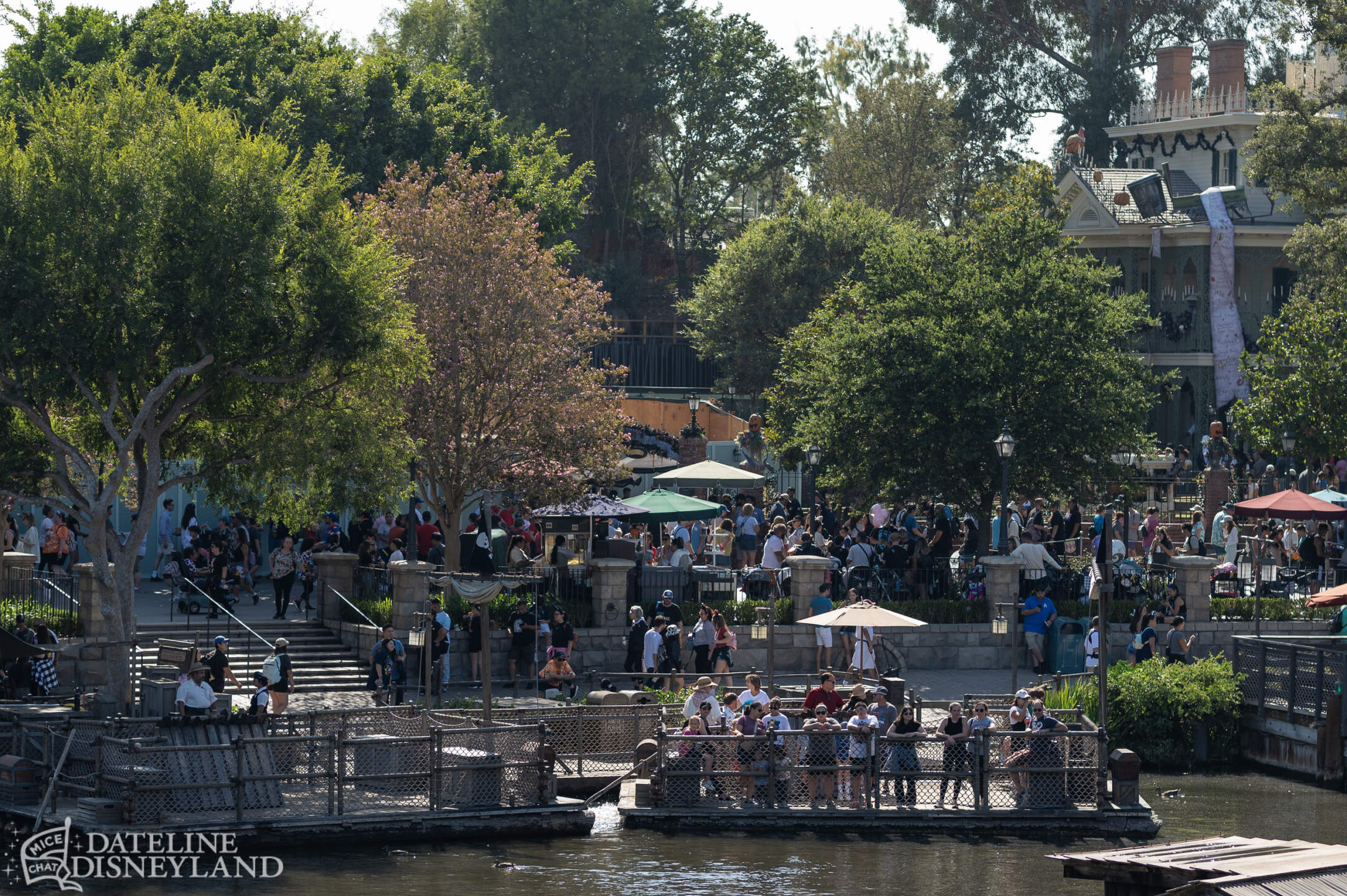 Disneyland, DISNEYLAND UPDATE: Critter Country Comeback, Halloween Magic & Labor Day Madness