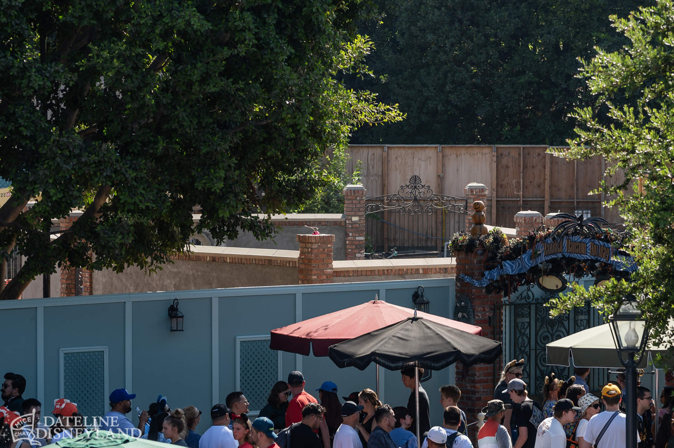 Disneyland, DISNEYLAND UPDATE: Critter Country Comeback, Halloween Magic & Labor Day Madness