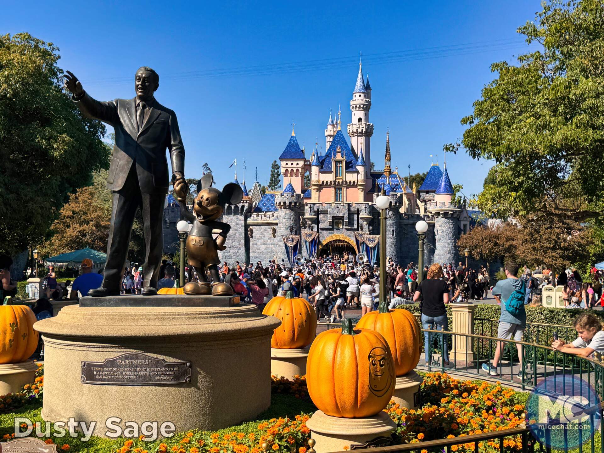 , DISNEYLAND UPDATE: Night Lights Delight, Price Spike & Bayou Hype