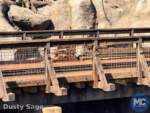 Disneyland-News-Construction Train Tracks River lumber- MiceChat