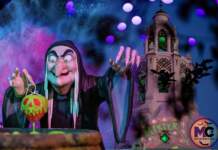 DISNEYLAND UPDATE: Critter Country Comeback, Halloween Magic & Labor Day Madness