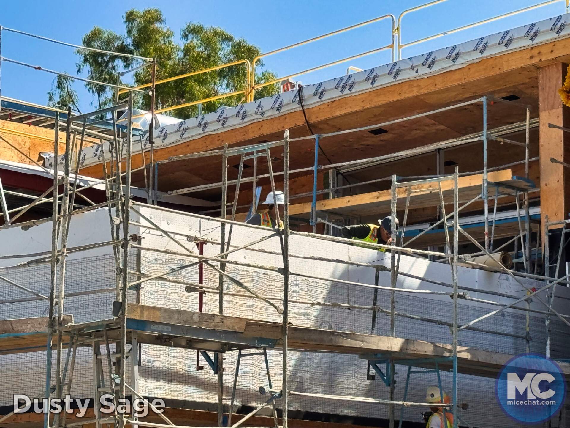 , DISNEYLAND UPDATE: Night Lights Delight, Price Spike & Bayou Hype