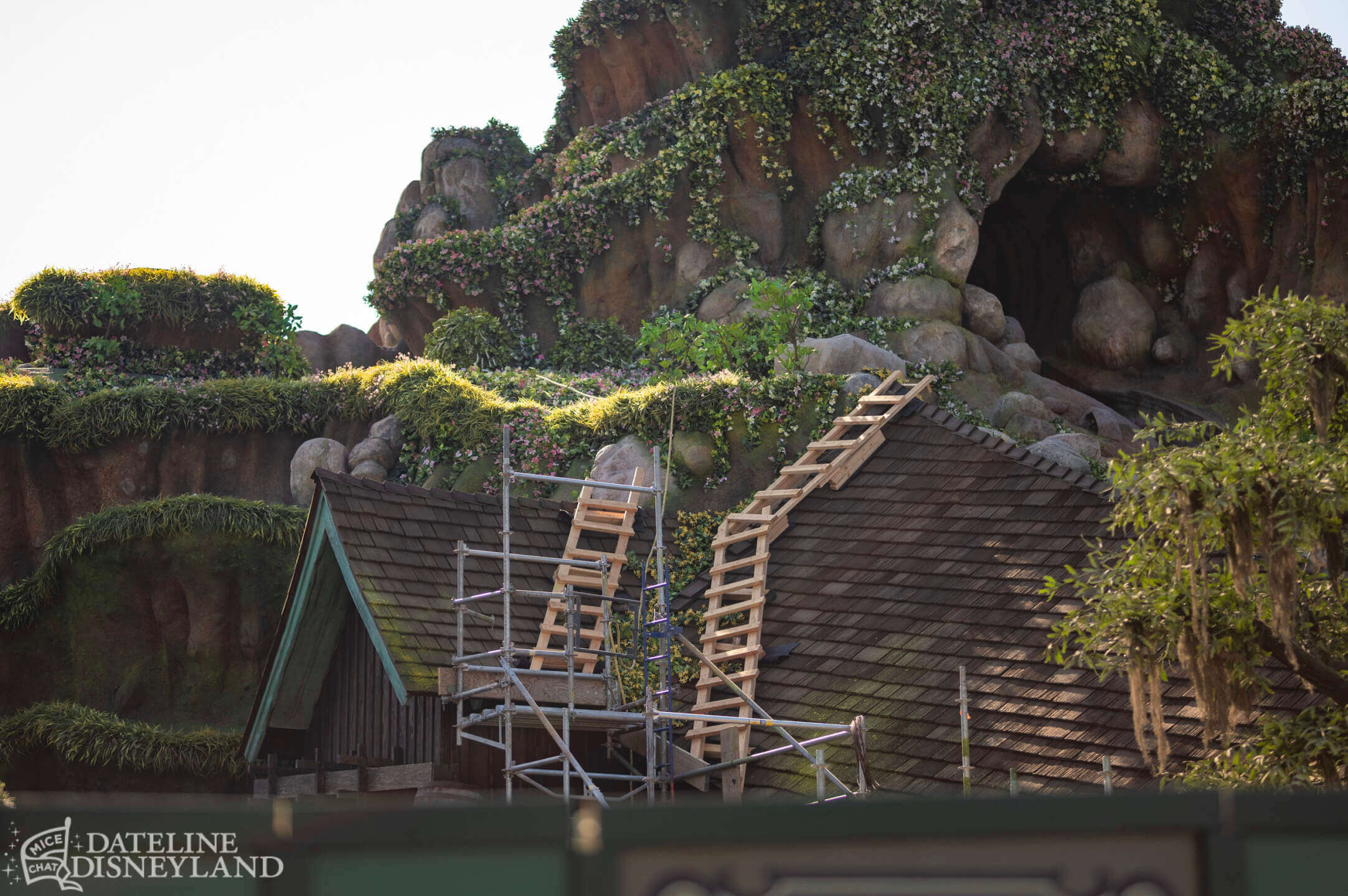 Disneyland, DISNEYLAND UPDATE: Critter Country Comeback, Halloween Magic & Labor Day Madness
