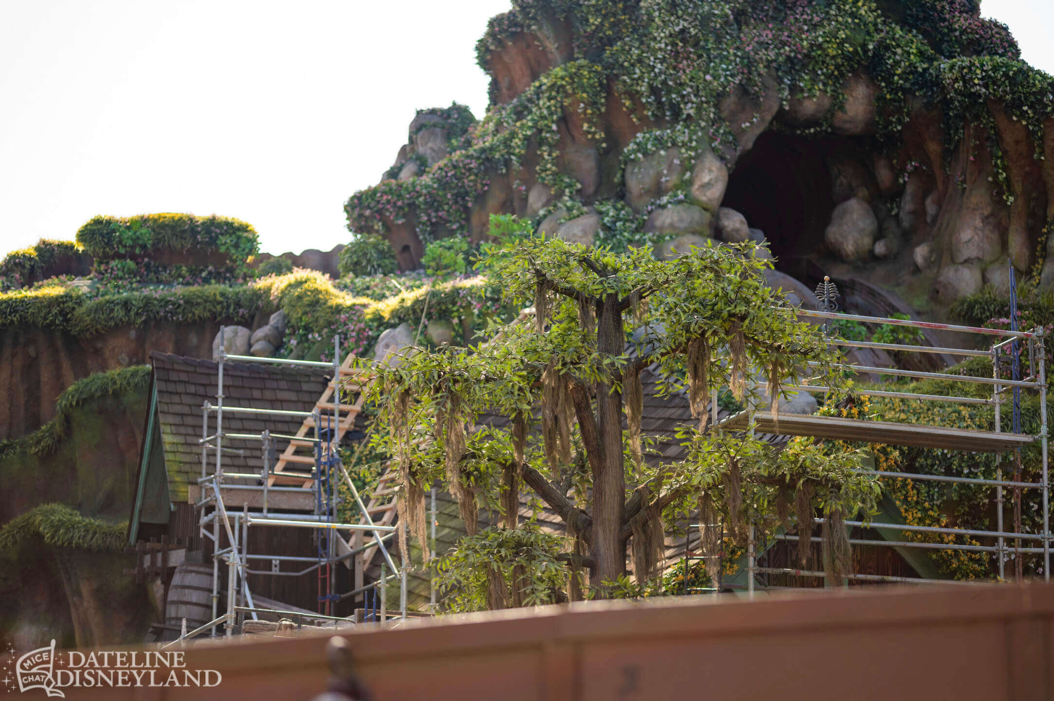 Disneyland, DISNEYLAND UPDATE: Critter Country Comeback, Halloween Magic & Labor Day Madness