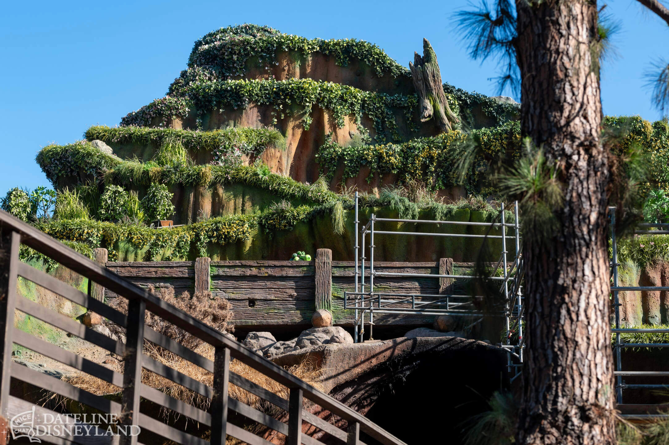 Disneyland, DISNEYLAND UPDATE: Critter Country Comeback, Halloween Magic & Labor Day Madness