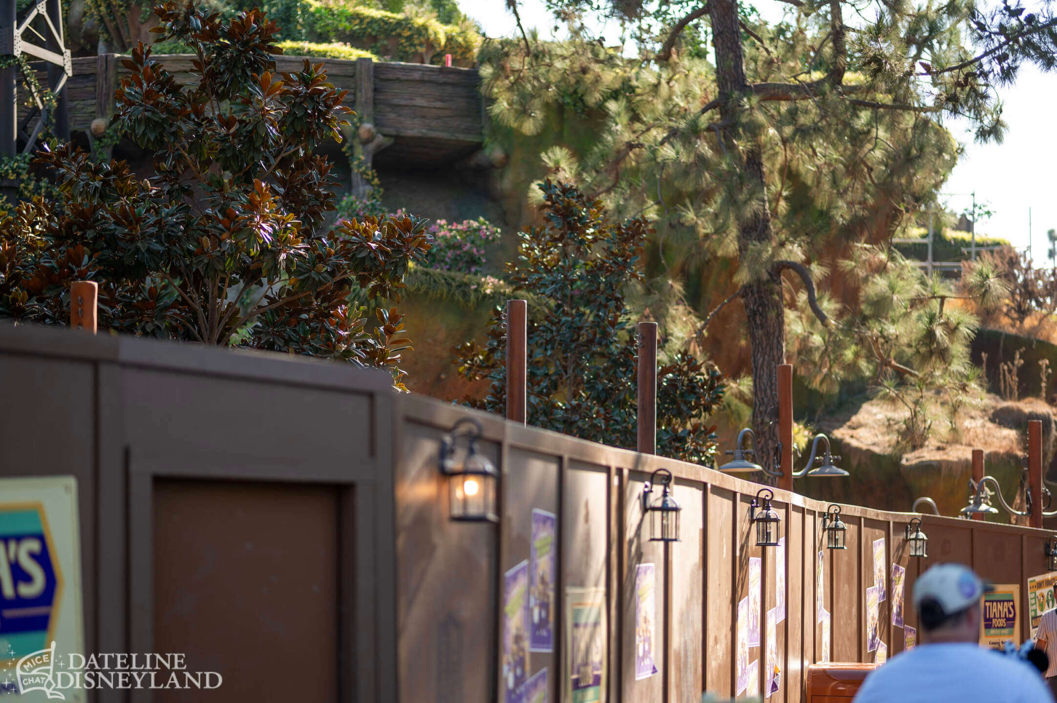 Disneyland, DISNEYLAND UPDATE: Critter Country Comeback, Halloween Magic & Labor Day Madness