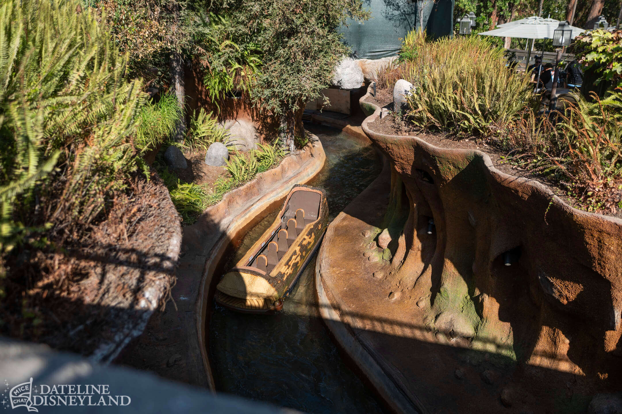 Disneyland, DISNEYLAND UPDATE: Critter Country Comeback, Halloween Magic & Labor Day Madness
