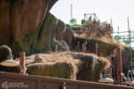 Disneyland Tianas Bayou Adventure dead landscaping DSC_8480-X5