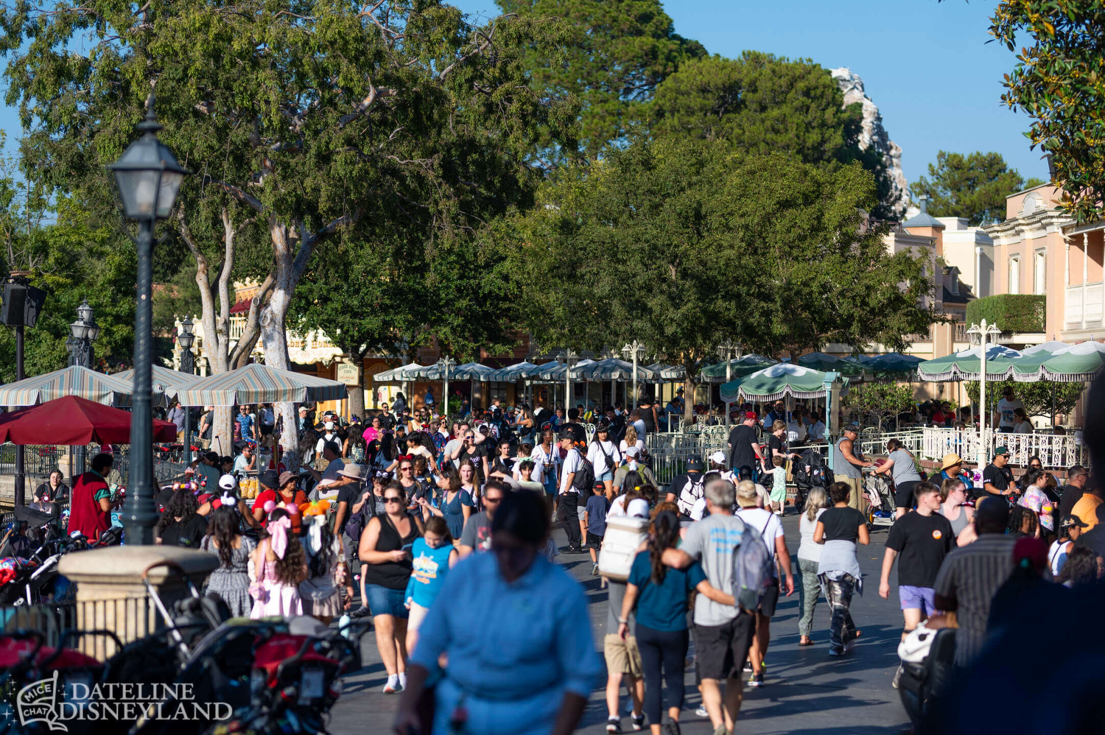 Disneyland, DISNEYLAND UPDATE: Critter Country Comeback, Halloween Magic & Labor Day Madness