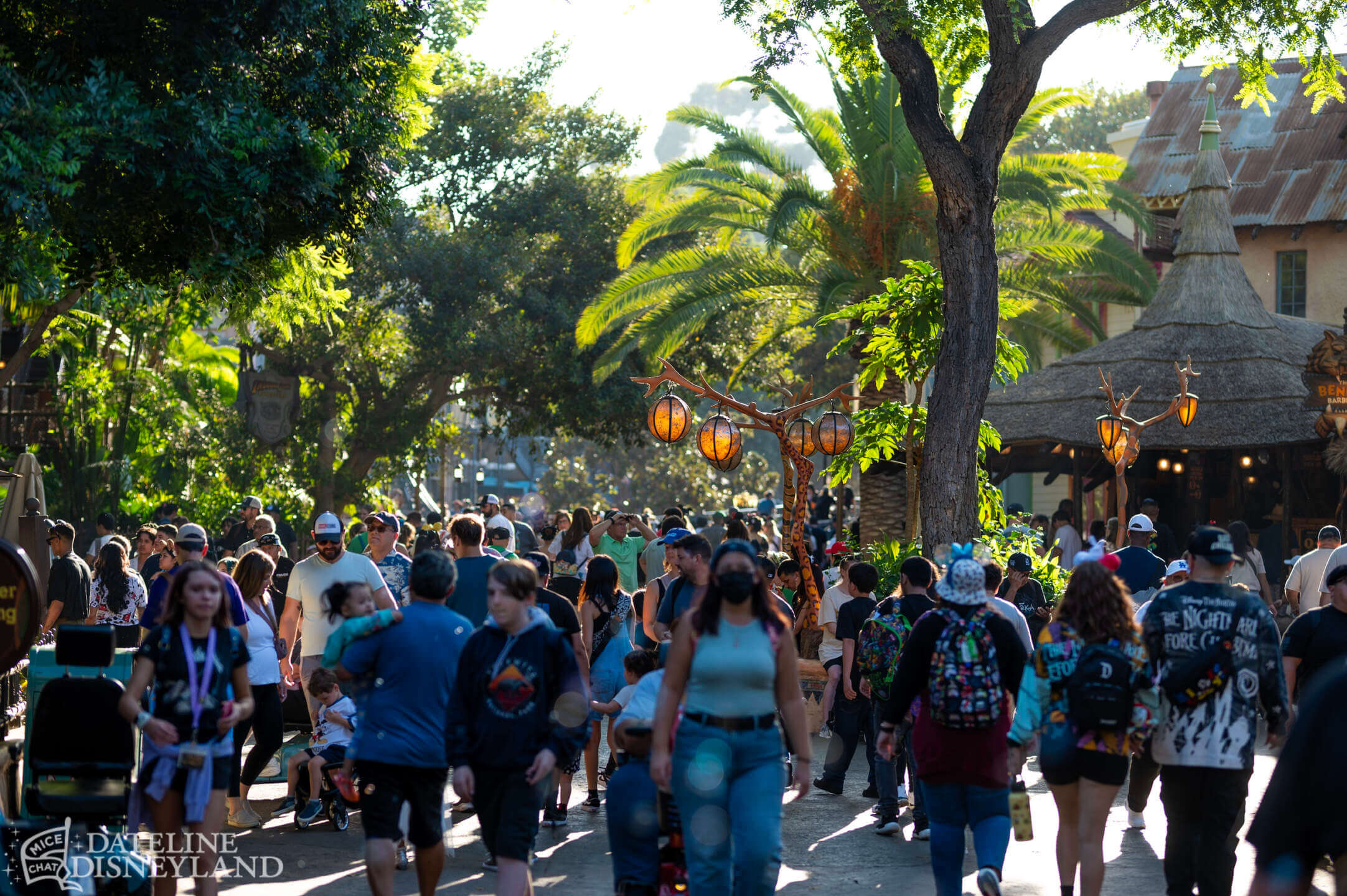 Disneyland, DISNEYLAND UPDATE: Critter Country Comeback, Halloween Magic & Labor Day Madness