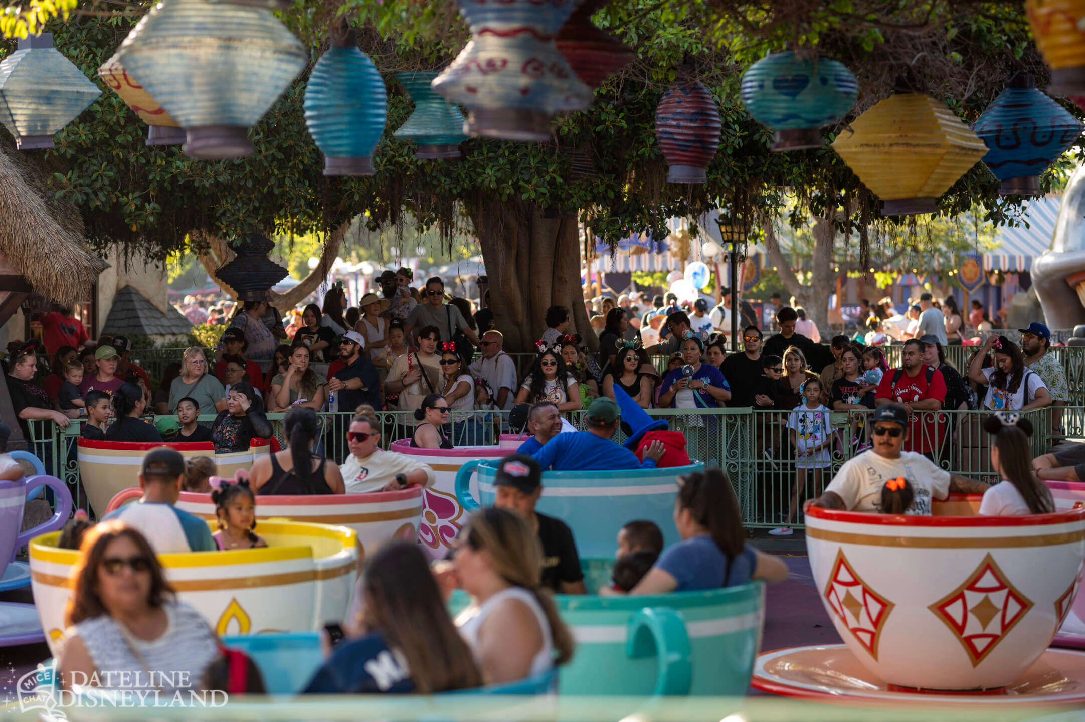 Disneyland, DISNEYLAND UPDATE: Critter Country Comeback, Halloween Magic & Labor Day Madness