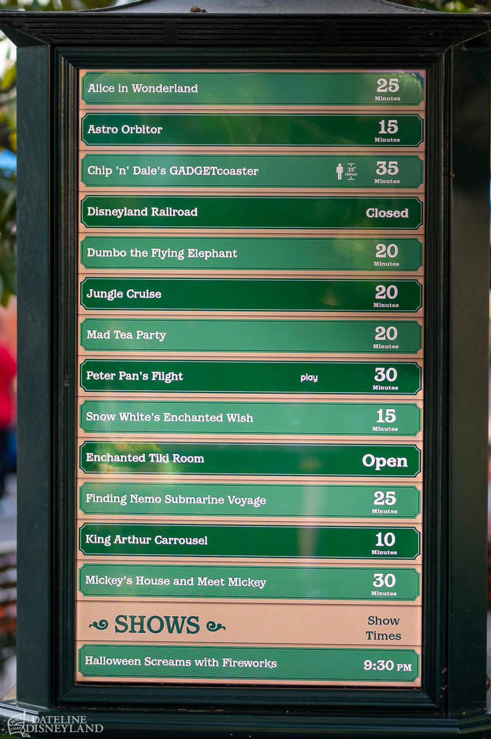 Disneyland, DISNEYLAND UPDATE: Critter Country Comeback, Halloween Magic & Labor Day Madness