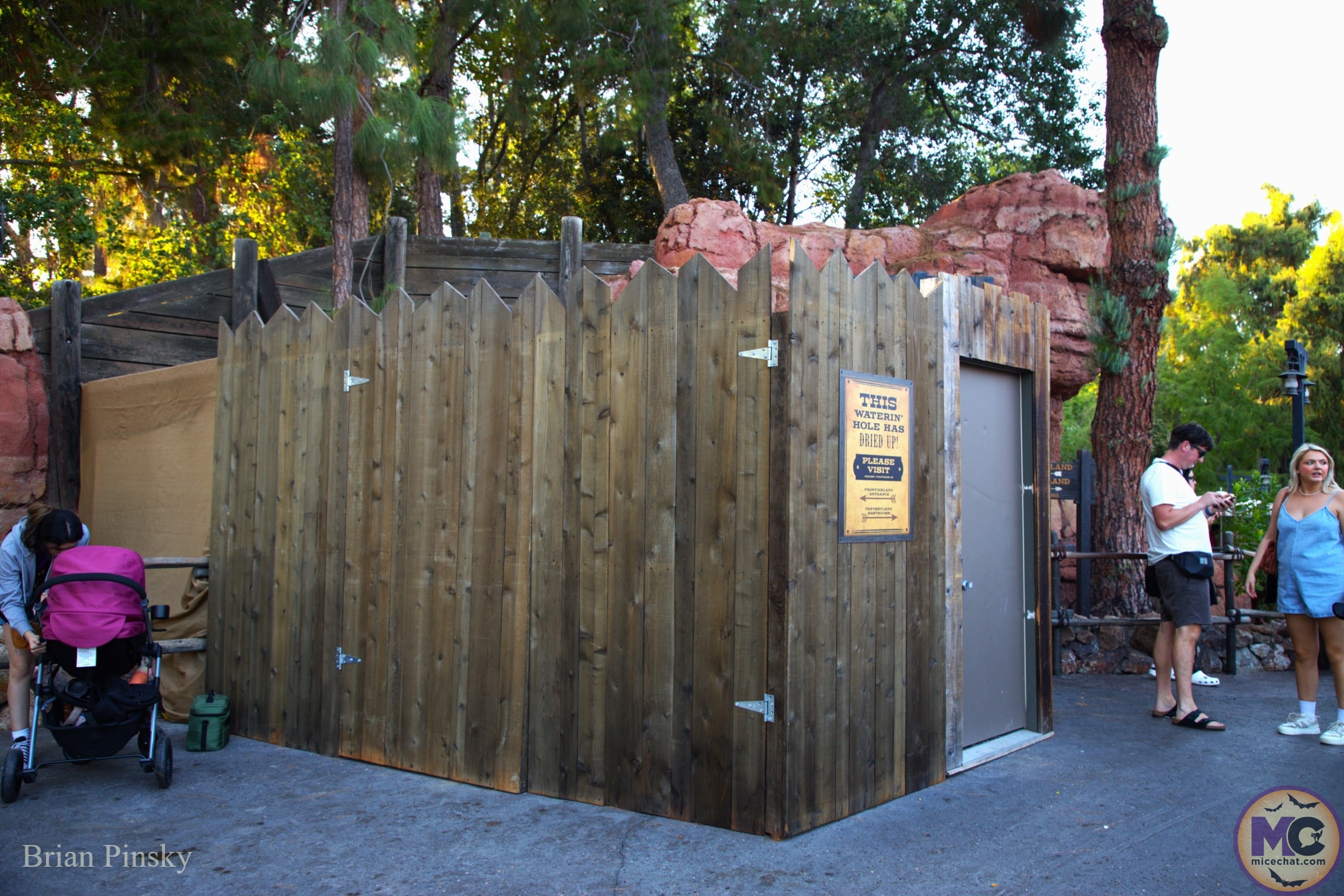 , DISNEYLAND UPDATE: Star Wars Redo, Tiana&rsquo;s Debut & Construction in View!