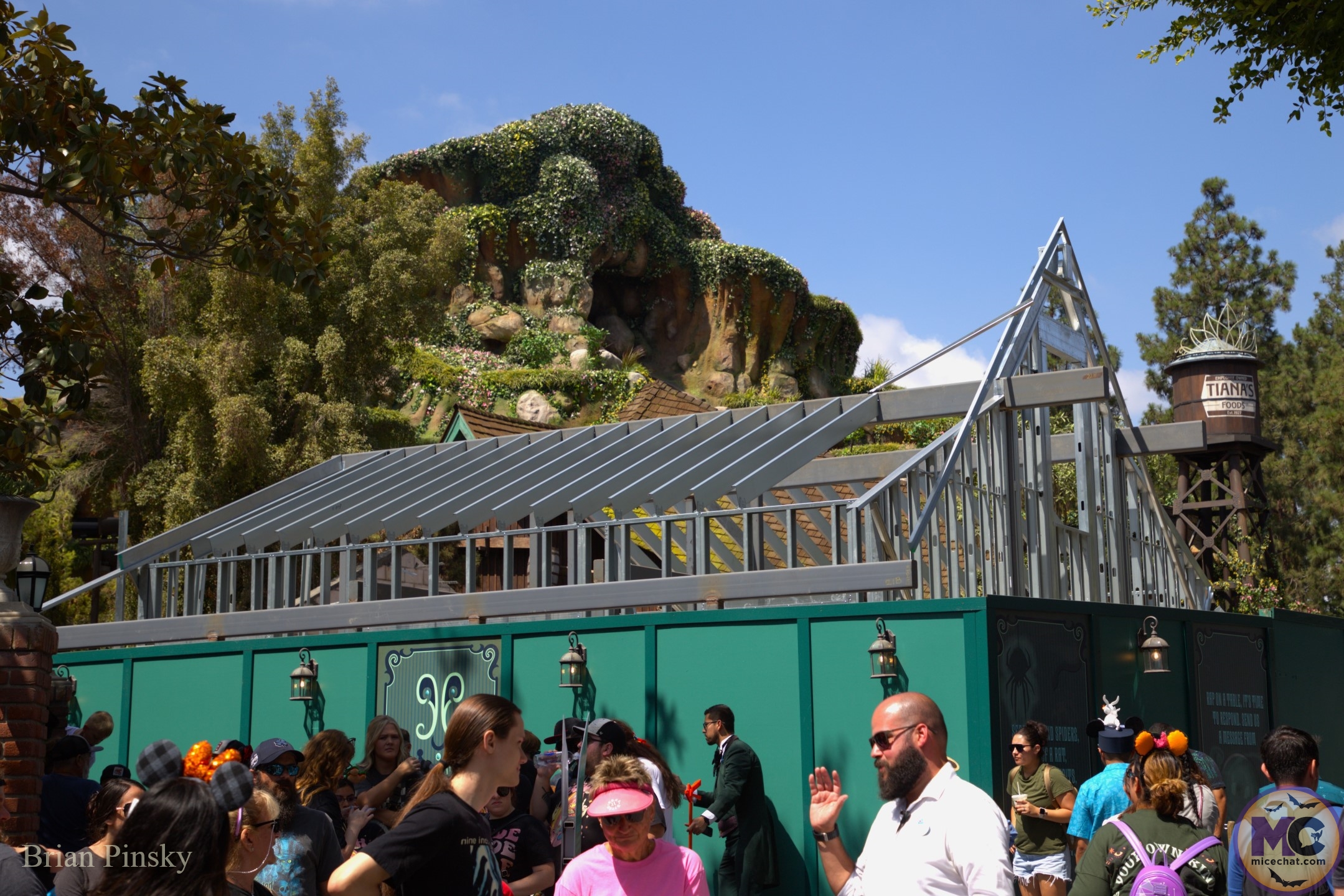 , DISNEYLAND UPDATE: Star Wars Redo, Tiana&rsquo;s Debut & Construction in View!