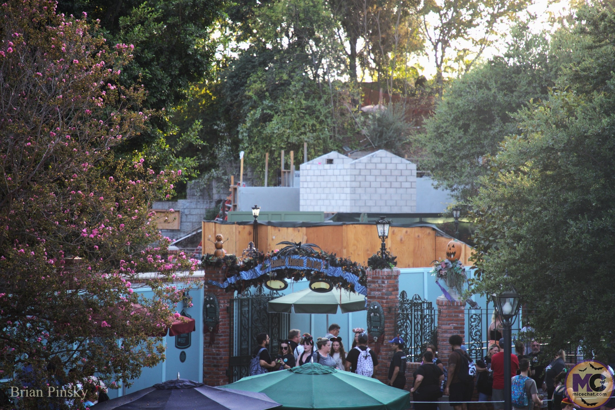 , DISNEYLAND UPDATE: Star Wars Redo, Tiana&rsquo;s Debut & Construction in View!