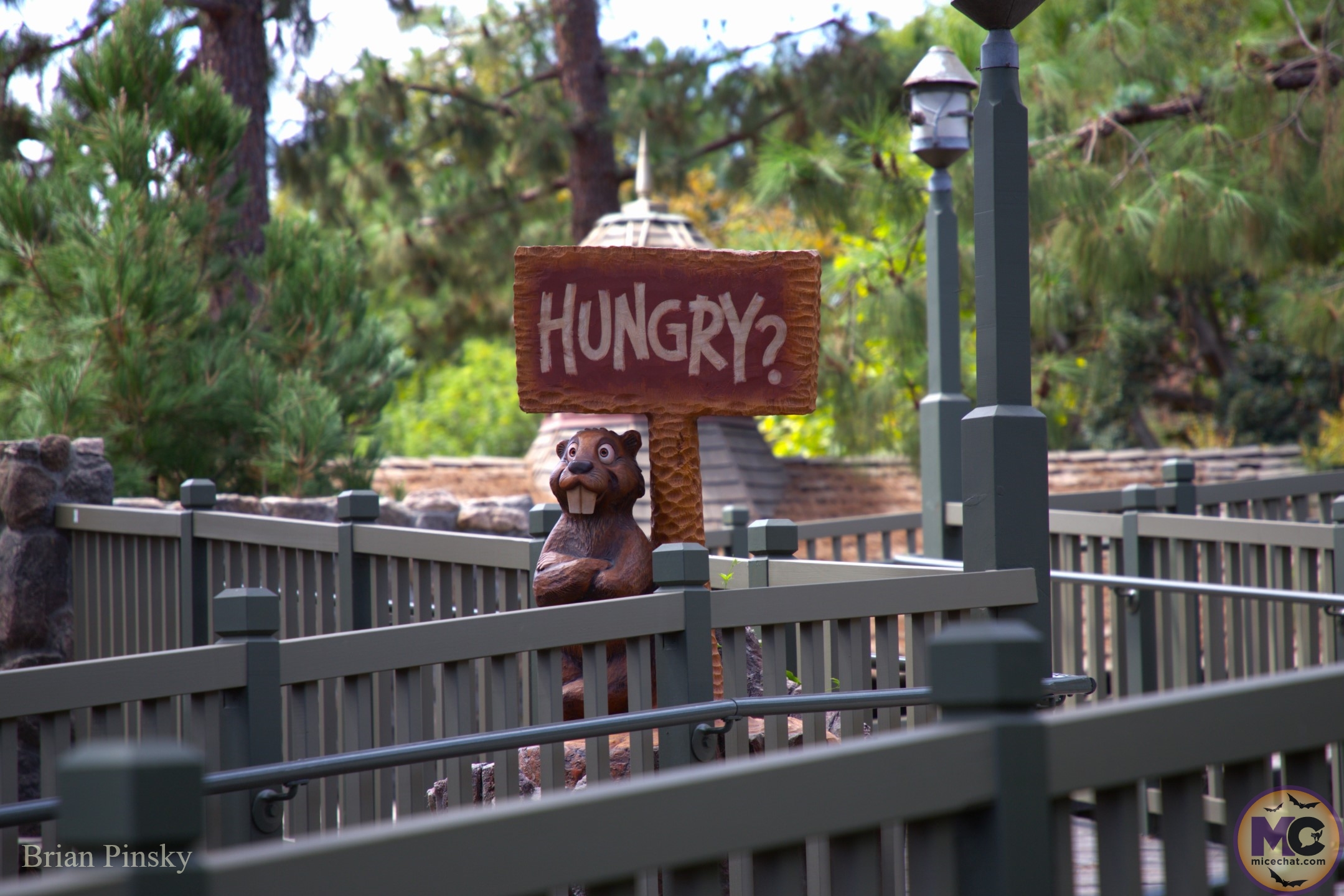 , DISNEYLAND UPDATE: Star Wars Redo, Tiana&rsquo;s Debut & Construction in View!